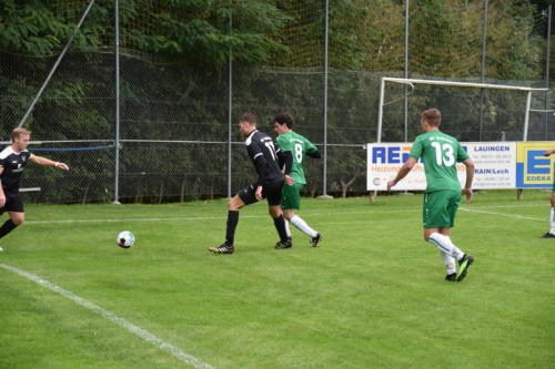 DSC 3203 (1)