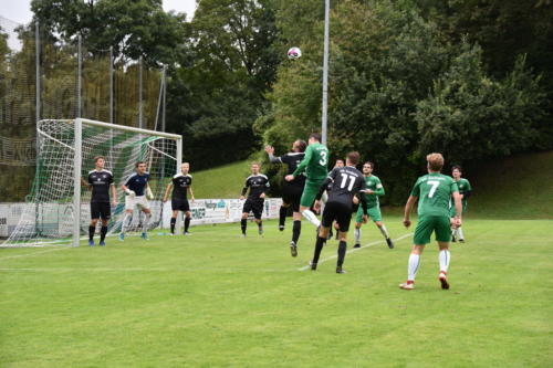 DSC 3216 (1)