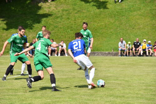 DSC 6221 (1)